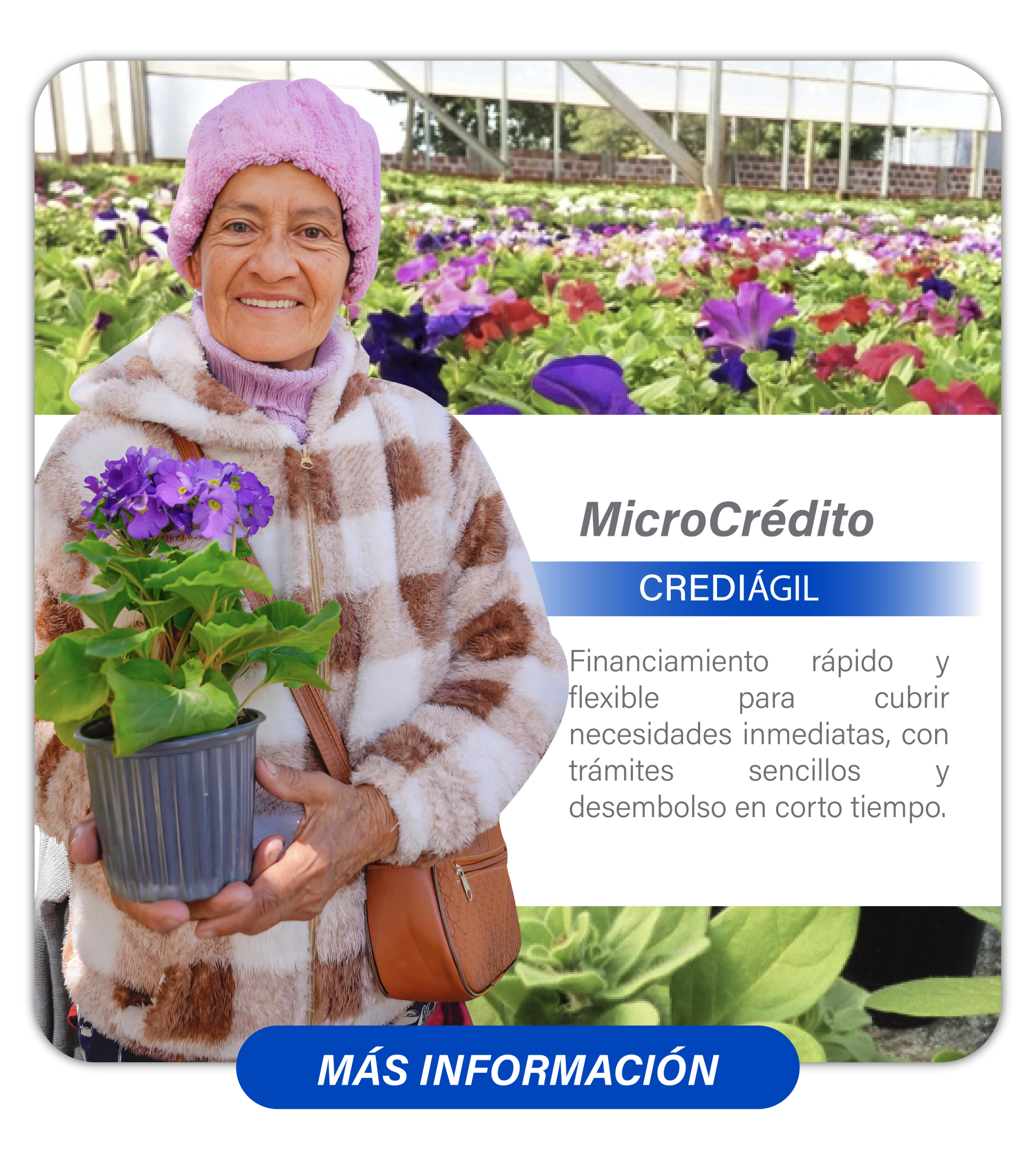 página web 39