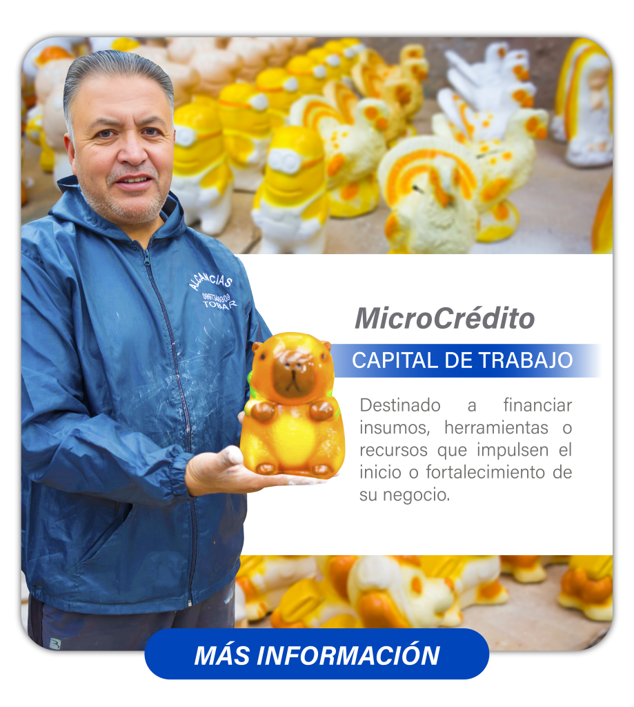 página web 41