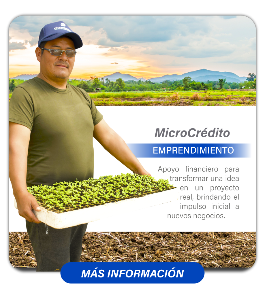 página web 42
